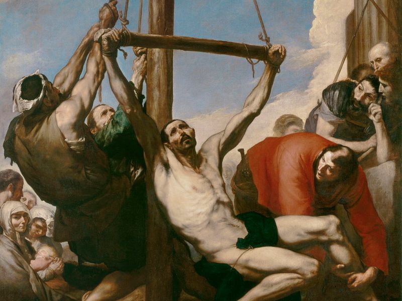 Las aves en cautiverio