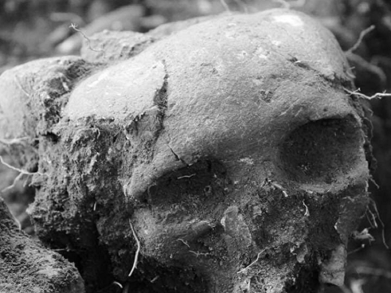 Arqueología de la alimentación: ¿qué comían los seres de ultratumba en el imaginario de Mesoamérica?