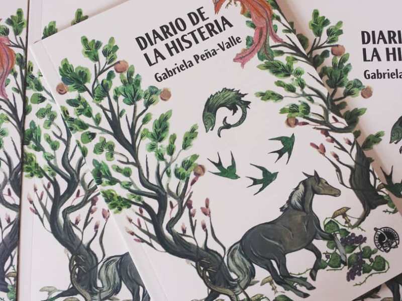 El Ser habita en la palabra. Reseña de la novela costarricense Diario de la histeria