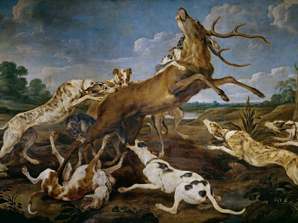 El ciervo, un relato de Sofía Ailin Parrella