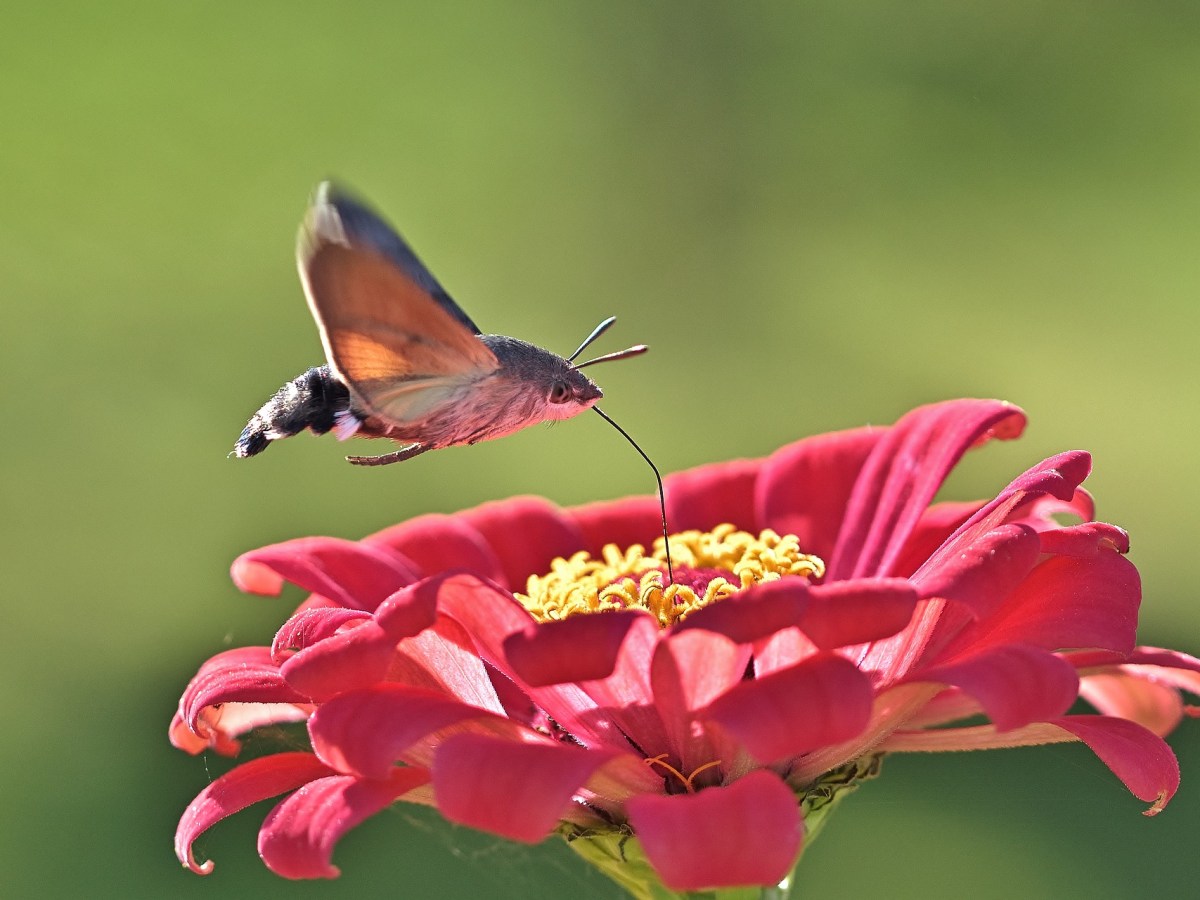 Microficciones de Jaime Alberto Cabrera