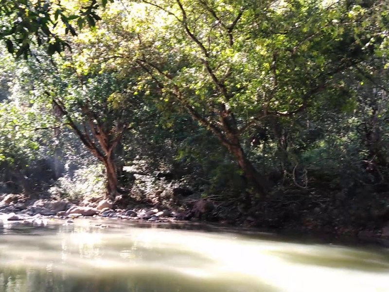 La leyenda del Machuca por Calú Cruz