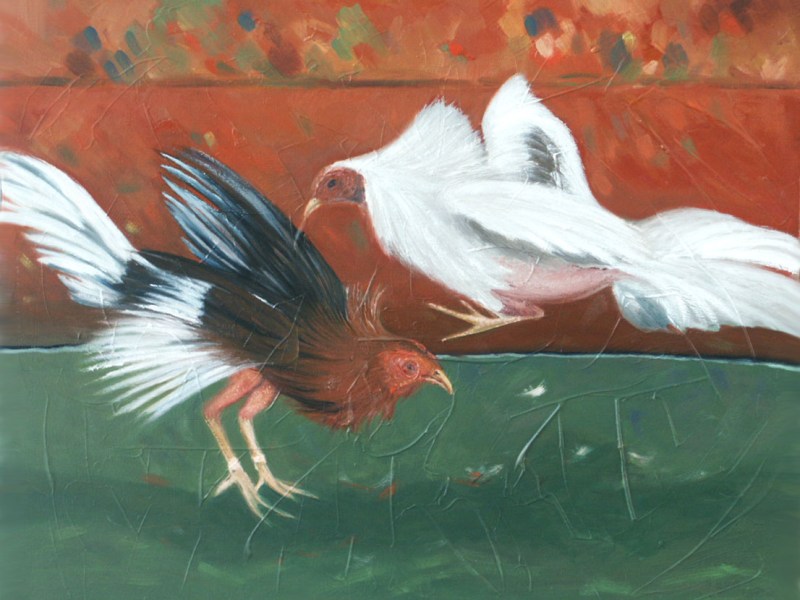 Las gallinas, un relato de José María Gonzales (México)